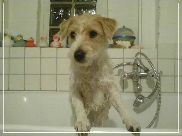 Beim Baden